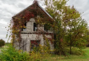 Neglected 1