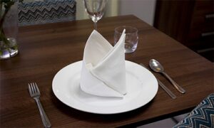 napkin