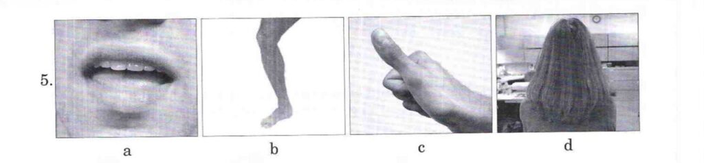 5 5