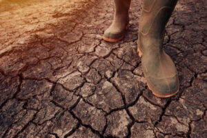 istockphoto 1030972682 612x612 1