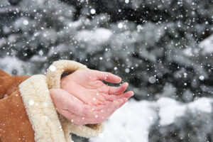 istockphoto 508663612 612x612 1