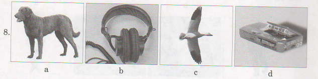 8 1