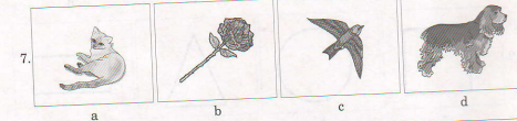 7 3